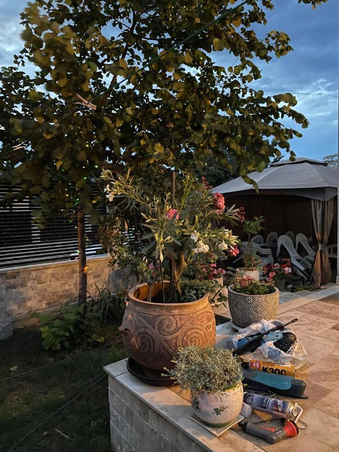 Casa Adriana Hotel Eforie Sud  Ngoại thất bức ảnh
